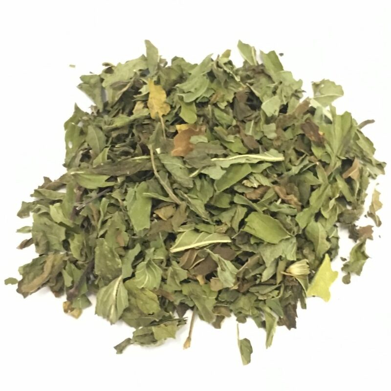 Menta Piperita Tisana