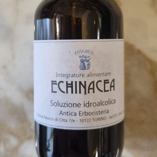 Echinacea estratto idroalcolico